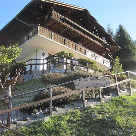 Apartament Chalet Erica Jaun Zewnętrze zdjęcie