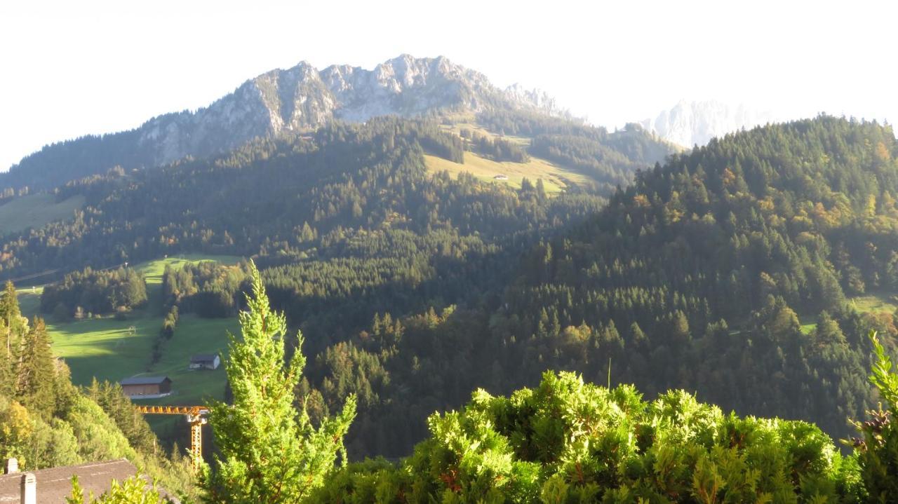 Apartament Chalet Erica Jaun Zewnętrze zdjęcie