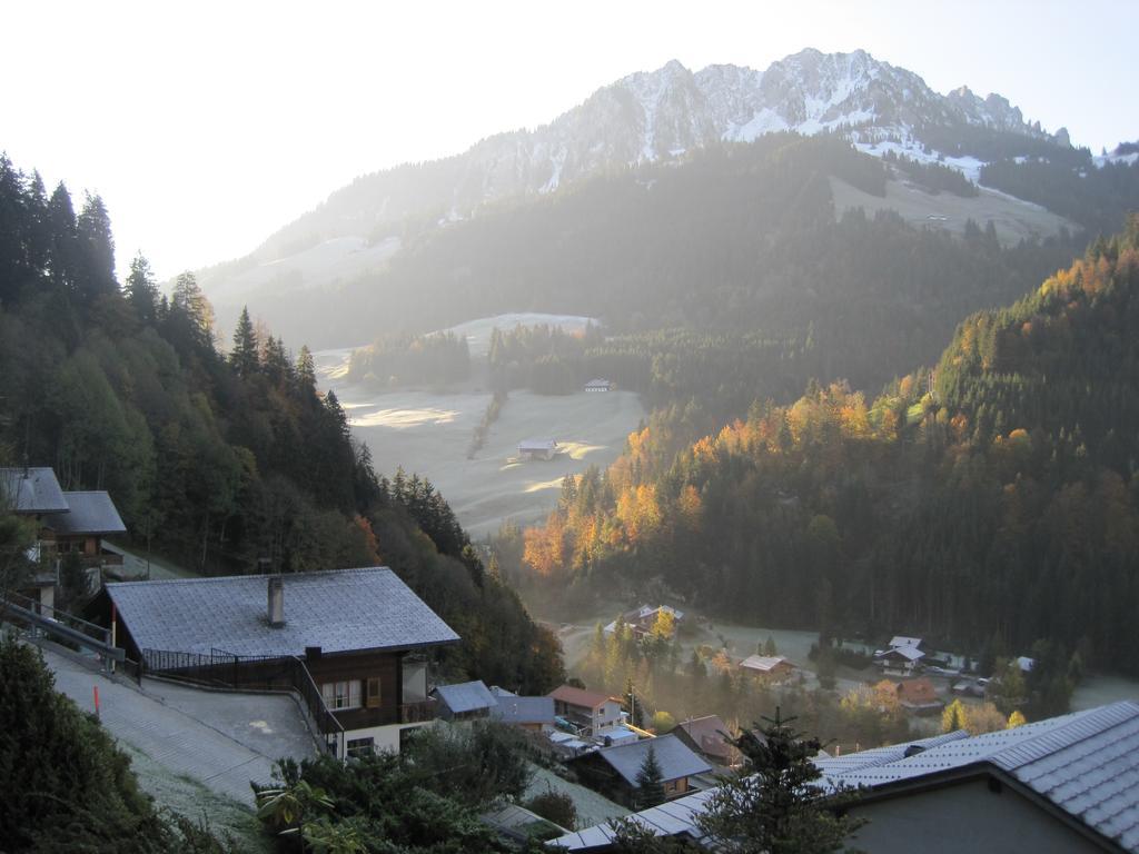 Apartament Chalet Erica Jaun Zewnętrze zdjęcie