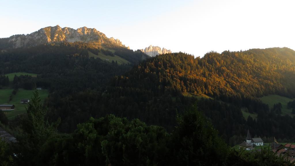 Apartament Chalet Erica Jaun Zewnętrze zdjęcie