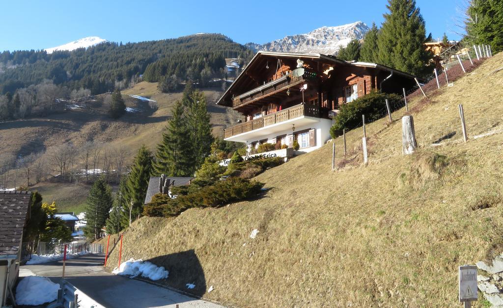 Apartament Chalet Erica Jaun Zewnętrze zdjęcie